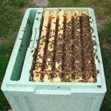 Langstroth nuc beehive with active honey bee colony during inspection