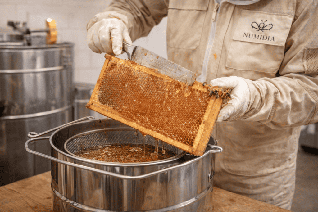UK beekeeper in a clean environment extracting raw honey from a honeycomb frame into stainless steel equipment